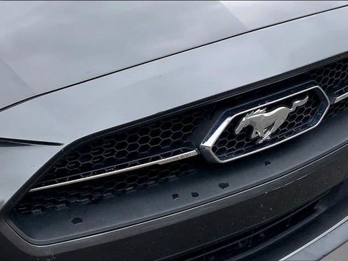 Used 2019 Ford Mustang Premium w/ Equipment Group 201A RWD image 28