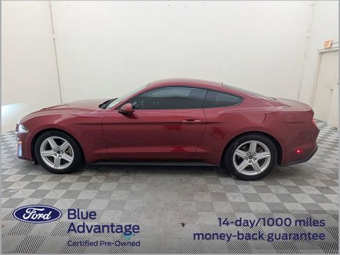 Used 2018 Ford Mustang Coupe RWD image 10