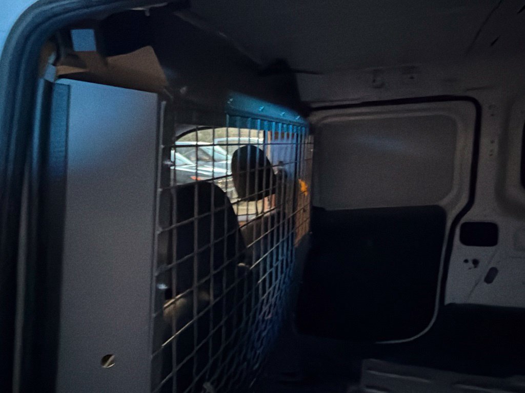 Used 2020 RAM ProMaster City Tradesman FWD image 10