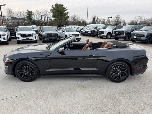 Used 2022 Ford Mustang Premium image 13