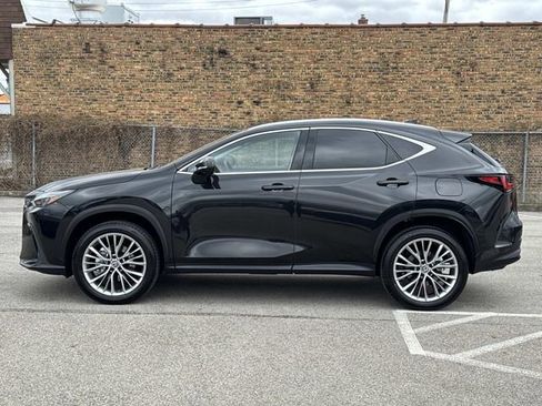 Certified 2025 Lexus NX 350h AWD w/ Accessory Package (2T) image 8