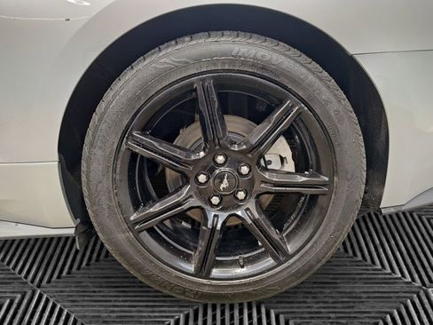 Used 2019 Ford Mustang Coupe w/ Equipment Group 101A image 14