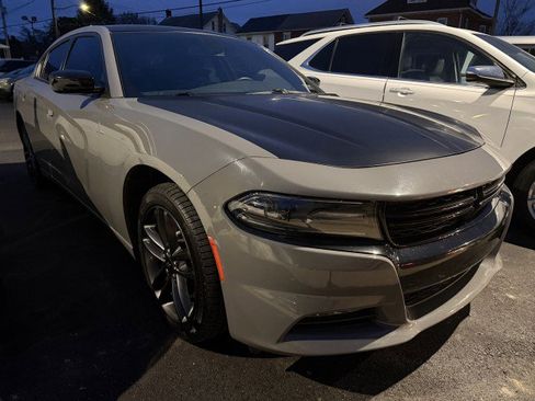 Used 2019 Dodge Charger SXT w/ Blacktop Package image 2