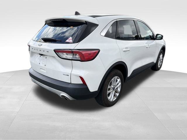 Used 2020 Ford Escape SE AWD/4WD image 4