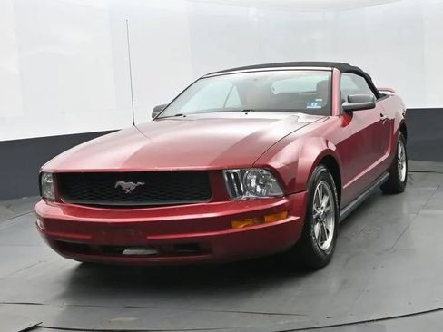 Used 2005 Ford Mustang Premium RWD image 1