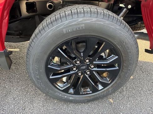 New 2025 Ford F150 XLT w/ Equipment Group 302A MID image 12