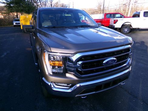 Used 2021 Ford F150 XLT w/ Equipment Group 302A High image 2