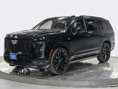 Used 2026 Cadillac Escalade Platinum Sport w/ LPO, ONYX Package