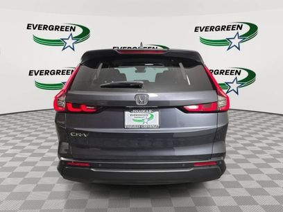 Used 2026 Honda CR-V EX-L
