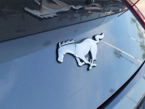 Used 2024 Ford Mustang Premium image 22