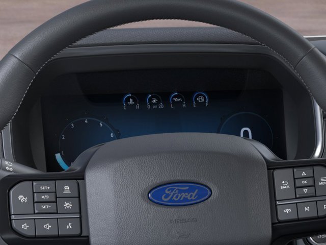 New 2026 Ford F150 Platinum w/ Equipment Group 700A Standard RWD image 13
