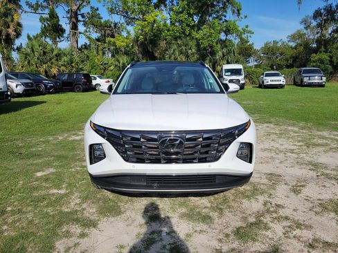 Used 2024 Hyundai Tucson Limited FWD image 6
