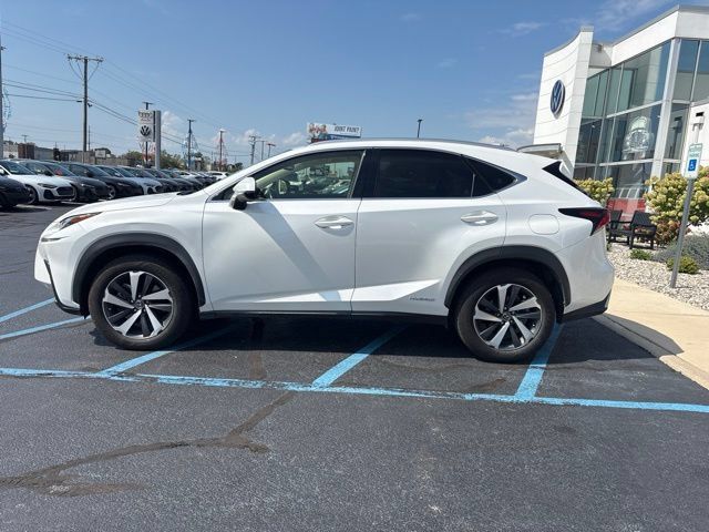 Used 2020 Lexus NX 300h AWD w/ Premium Package image 5