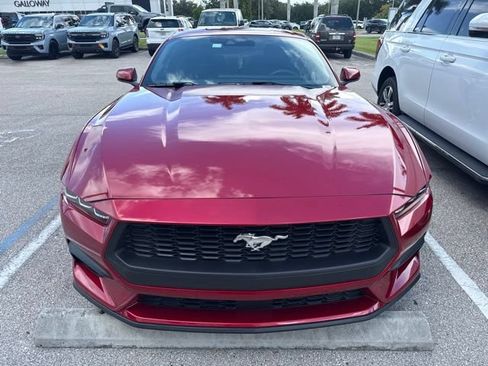Used 2024 Ford Mustang Premium RWD image 2