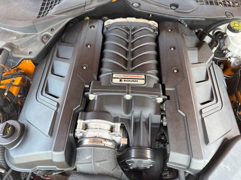 Used 2019 Ford Mustang GT w/ Equipment Group 301A RWD image 9