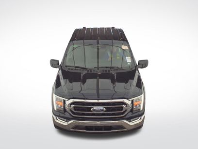 Used 2023 Ford F150 XLT w/ Equipment Group 302A High