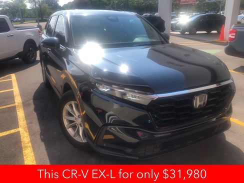 Used 2025 Honda CR-V EX-L image 3