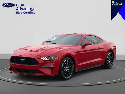 Certified 2022 Ford Mustang EcoBoost image 1
