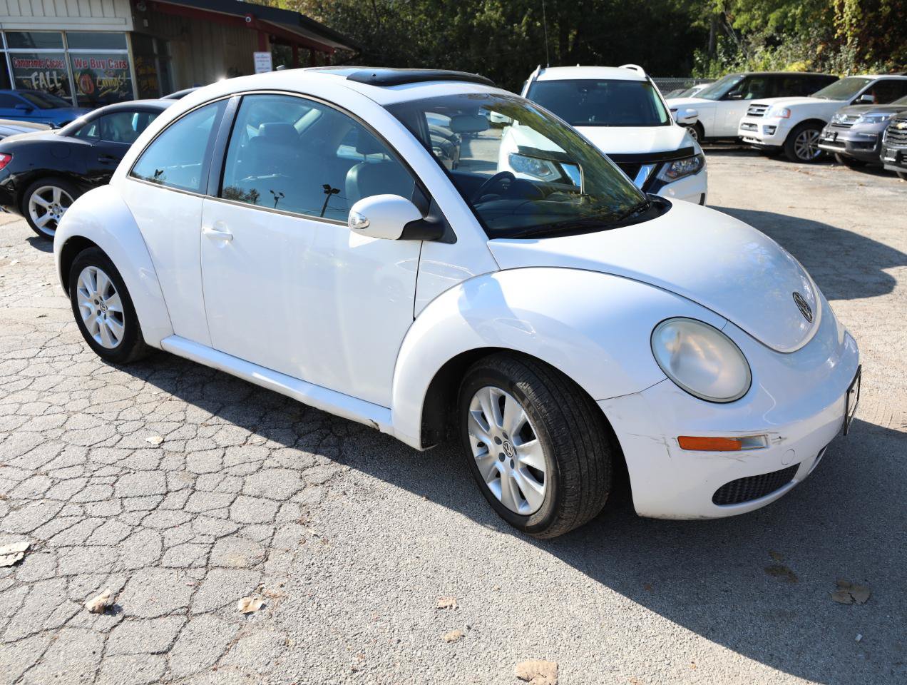 Used 2009 Volkswagen Beetle S FWD image 4