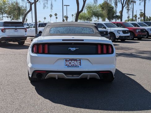 Used 2017 Ford Mustang Premium w/ Ecoboost Performance Package RWD image 6