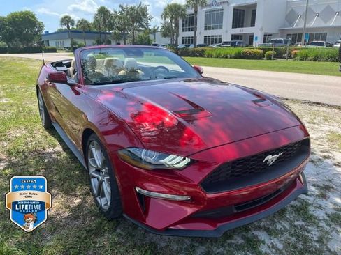 Used 2022 Ford Mustang Premium w/ Equipment Group 201A RWD image 3