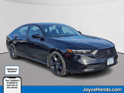 Used 2024 Honda Accord Sport image 1