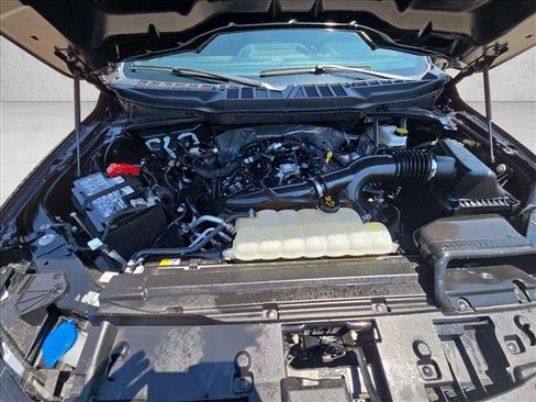 Used 2025 Ford F150 STX w/ Equipment Group 200A RWD image 21