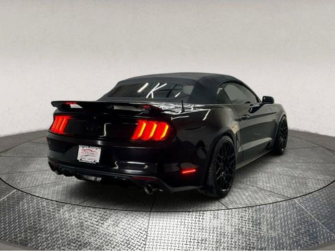 Used 2016 Ford Mustang GT Premium w/ Equipment Group 401A image 7