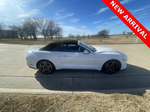 Used 2019 Ford Mustang Premium image 4