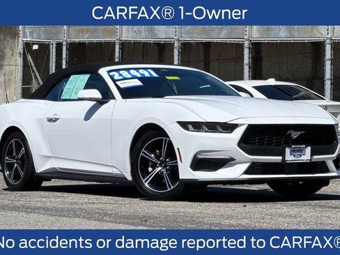 Certified 2024 Ford Mustang Premium RWD image 3