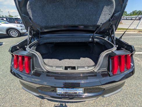 Certified 2019 Ford Mustang GT Premium w/ Equipment Group 401A RWD image 12