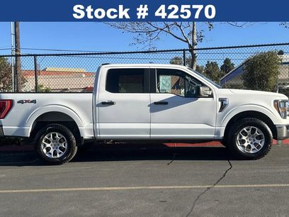 Certified 2023 Ford F150 XLT