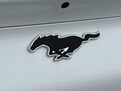 Used 2025 Ford Mustang Mach-E Premium w/ Sport Appearance Package AWD/4WD image 17