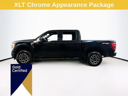 Certified 2023 Ford F150 XLT w/ Equipment Group 302A High image 6