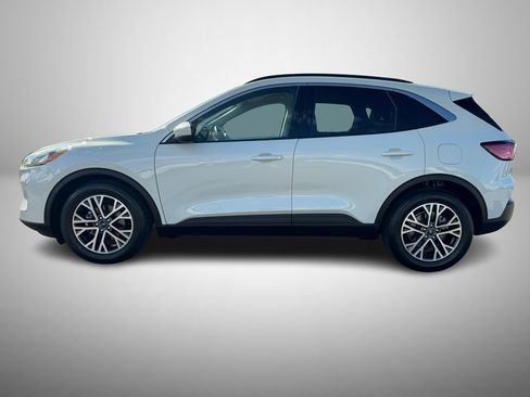 Used 2020 Ford Escape SEL image 6