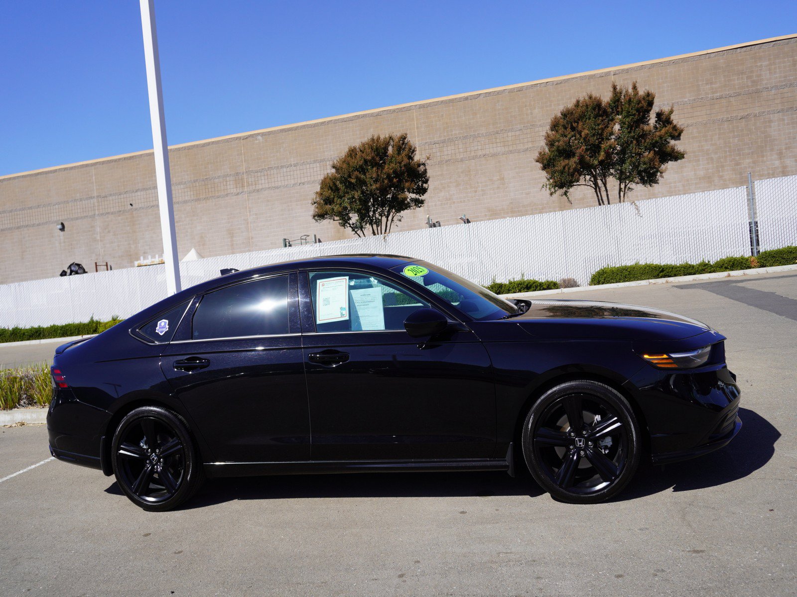 Used 2025 Honda Accord Sport image 4