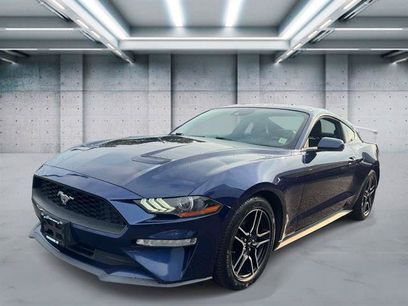 Used 2018 Ford Mustang Premium w/ Equipment Group 201A