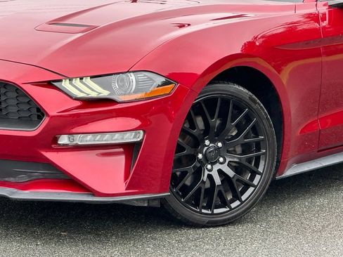 Used 2019 Ford Mustang Premium w/ Equipment Group 201A RWD image 30
