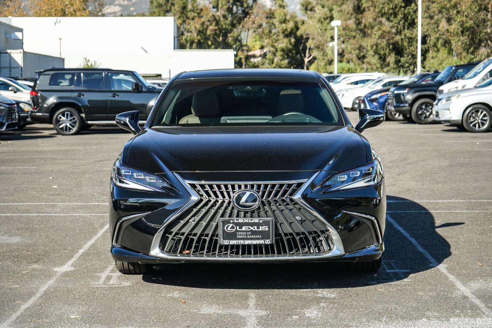 Used 2025 Lexus ES 300h w/ Premium Package FWD image 2