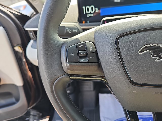 Used 2022 Ford Mustang Mach-E Premium RWD image 18