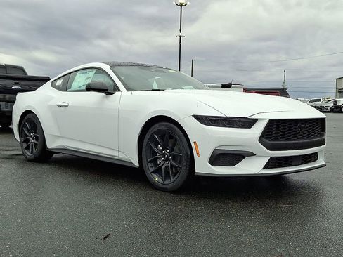 New 2026 Ford Mustang Coupe w/ Mustang Nite Pony Package image 1