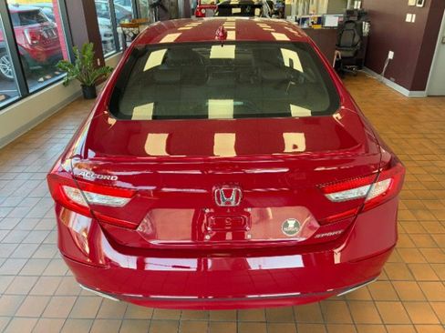 Used 2019 Honda Accord Sport image 12