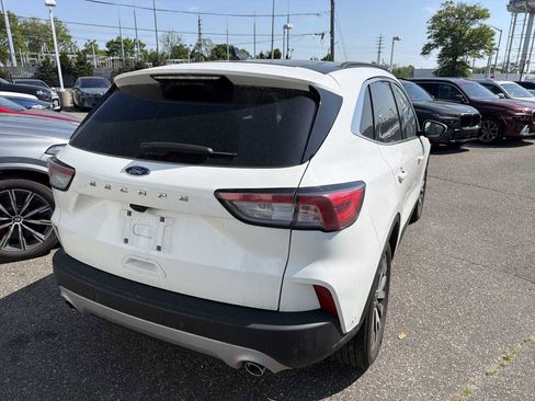 Used 2020 Ford Escape Titanium w/ Titanium Premium Package 2.0 AWD/4WD image 3