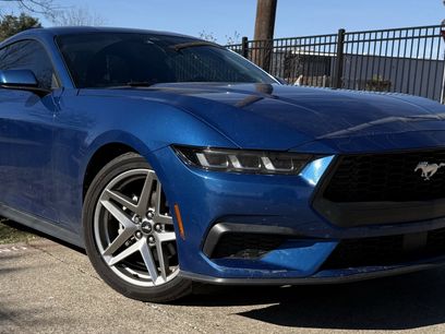 Certified 2024 Ford Mustang EcoBoost