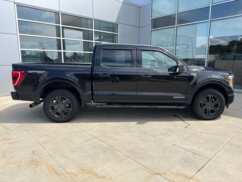 Used 2021 Ford F150 XLT w/ Equipment Group 302A High AWD/4WD image 8