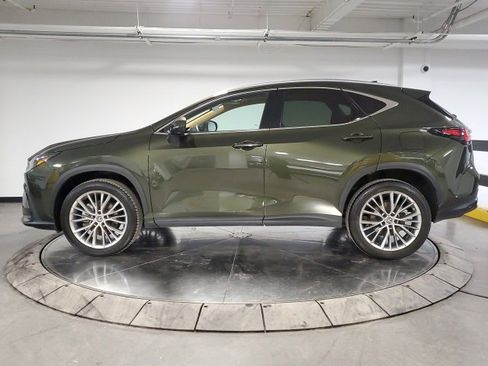 Used 2023 Lexus NX 350h AWD image 7