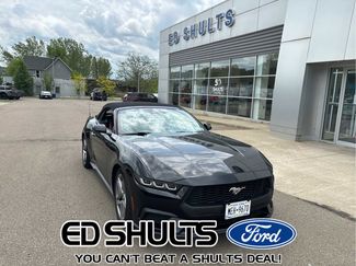 Used 2024 Ford Mustang Premium RWD video 1