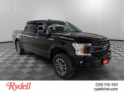 Used 2019 Ford F150 XLT w/ Equipment Group 302A Luxury AWD/4WD image 7