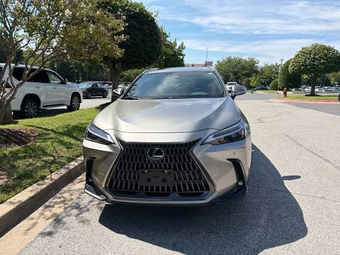 Used 2026 Lexus NX 350h AWD w/ Cold Area Package image 2
