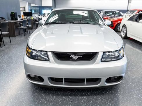 Used 2004 Ford Mustang Cobra RWD image 2
